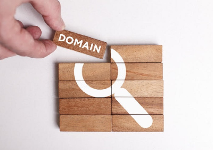 Tên miền được tồn tại ở 2 trạng thái là domain chưa hoặc đã đăng ký